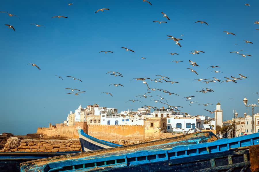 From Taghazout: Medina of Essaouira Guided Day Trip - The drive from Taghazout through argan country