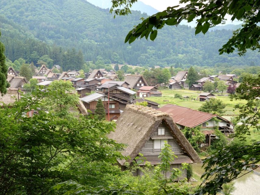 From Takayama: Guided Day Trip to Takayama and Shirakawa-go - Shirakawa-go from the lookout down to the rice paddies