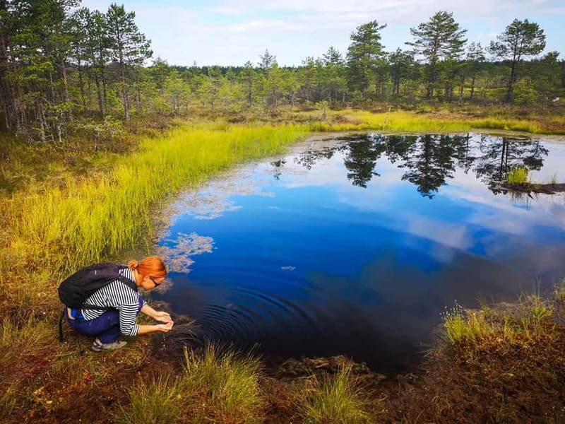 From Tallinn: Day Trip to Lahemaa National Park - Why Lahemaa makes a good escape from Tallinn
