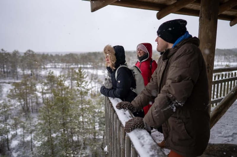 From Tallinn: Day Trip to Lahemaa National Park - The Viru bog walk explains Estonia’s wild side