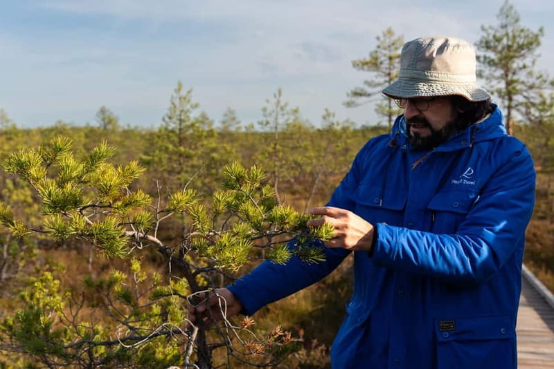 From Tallinn: Day Trip to Lahemaa National Park - The van and small group shape the experience
