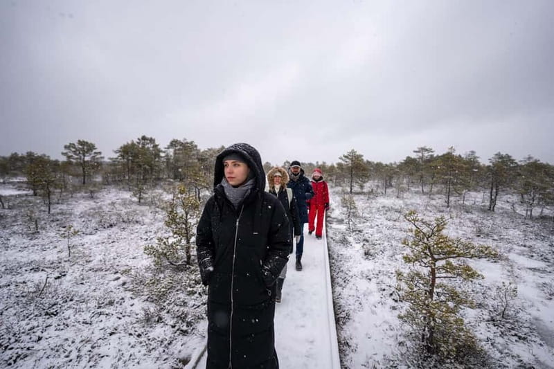 From Tallinn: Day Trip to Lahemaa National Park - Is $140 good value for seven hours?