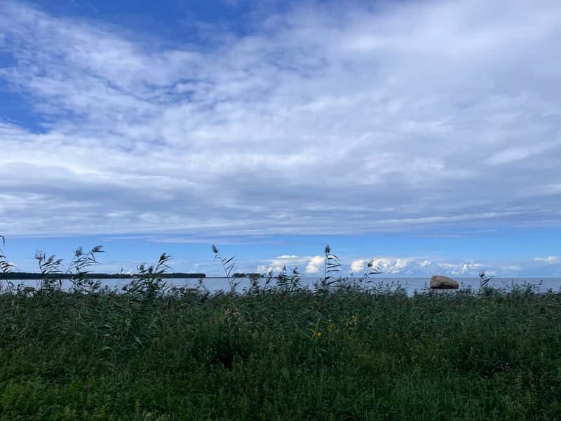 From Tallinn: Lahemaa National Park Day Trip - Viru Bog trail: the day’s best walk
