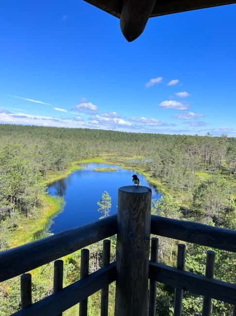 From Tallinn: Lahemaa National Park Day Trip - Lunch with a local angle