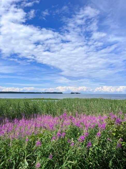 From Tallinn: Lahemaa National Park Day Trip - Vihula Manor or the Beaver Trail
