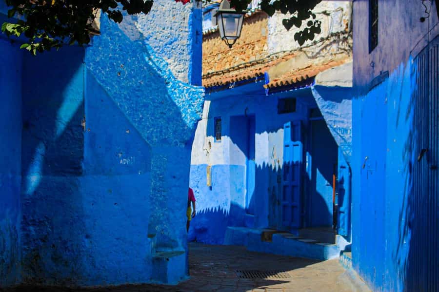 From Tangier: Chefchaouen Day Trip with Local Guide - Should you book the Chefchaouen day trip from Tangier?
