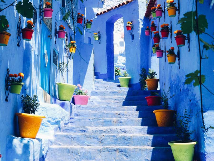 From Tangier: Chefchaouen Guided Full-Day Trip - Why Chefchaouen makes a strong day trip from Tangier