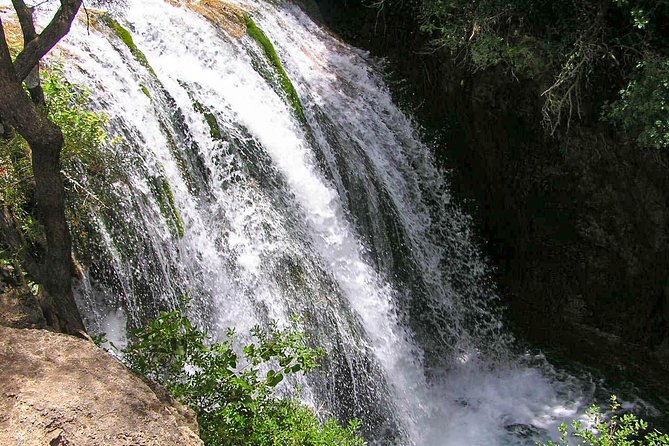 From Tangier: Day Trip to Chefchaouen and Akchour Waterfalls - The kasbah, Great Mosque, and main square