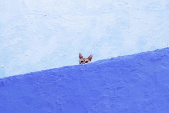 From Tangier: Special Day Trip to Chefchaouen and Tetouan - Why this two-city day trip works