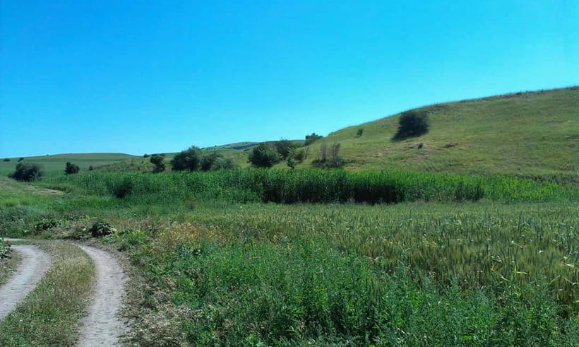 From Tashkent: Chimgan Valley Hiking Day Trip - Leaving Tashkent for the Western Tian Shan