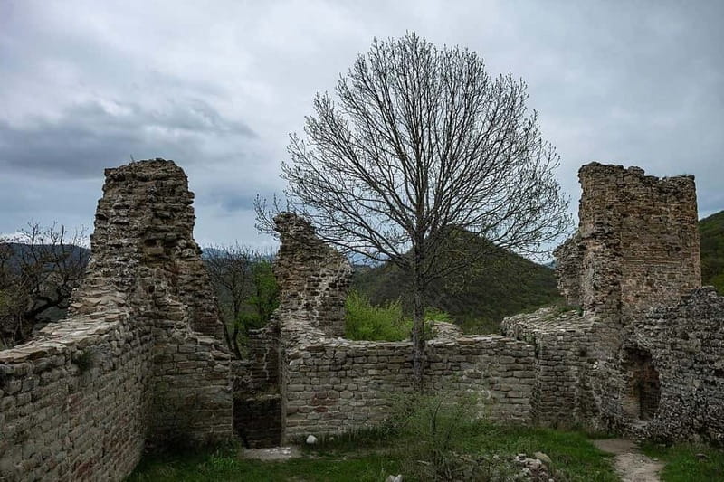 From Tbilisi: Bodbe, Sighnaghi and Telavi Day Trip - Leaving Tbilisi for Manavi and Badiauri