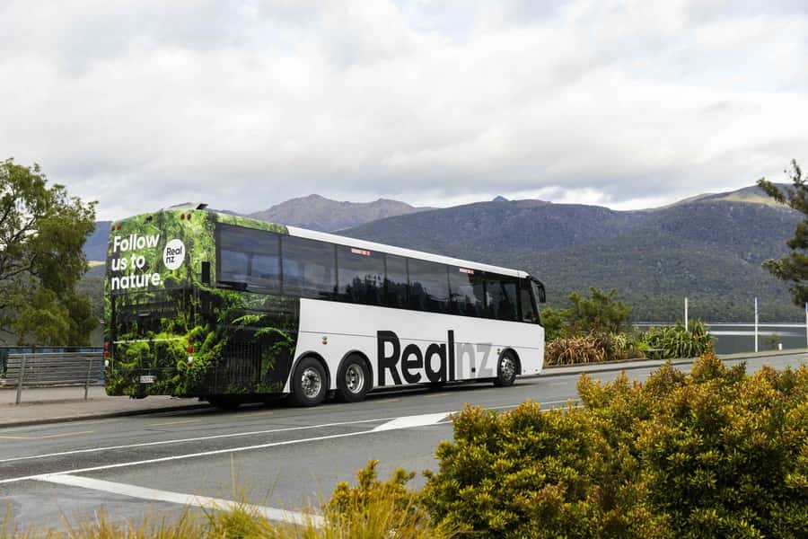 From Te Anau: Milford Sound Cruise and Coach Day Trip - Monkey Creek and the final stretch of Milford Road
