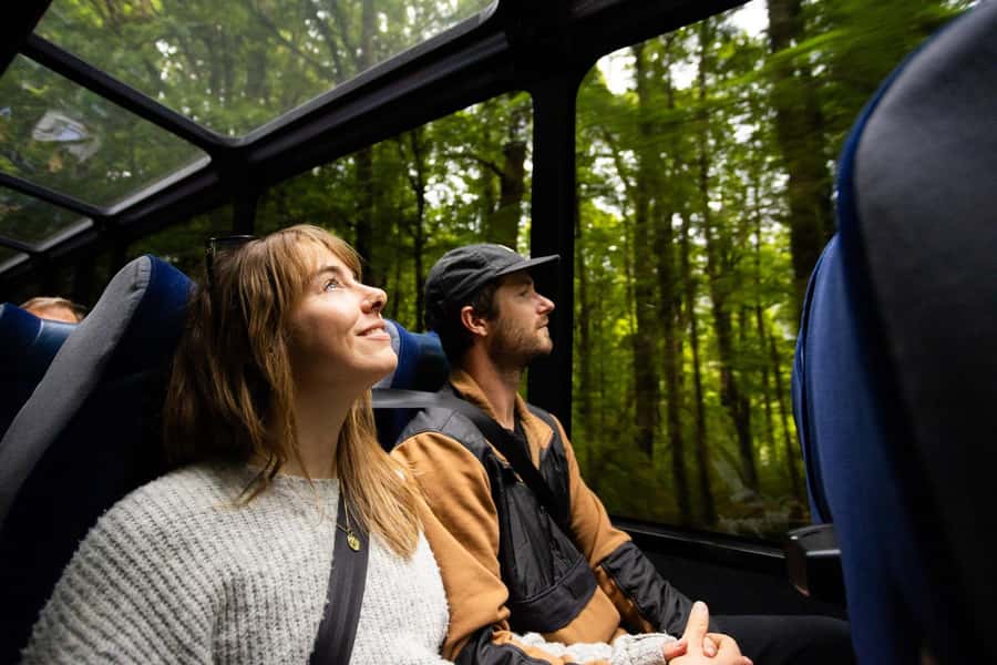 From Te Anau: Milford Sound Cruise and Coach Day Trip - The two-hour Milford Sound cruise
