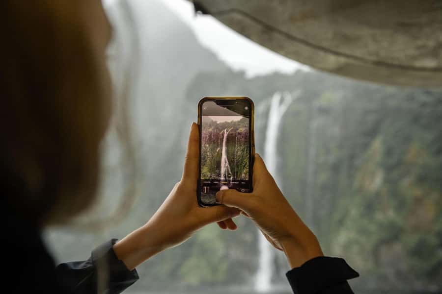 From Te Anau: Milford Sound Cruise and Coach Day Trip - Waterfalls, seals, dolphins, and penguins