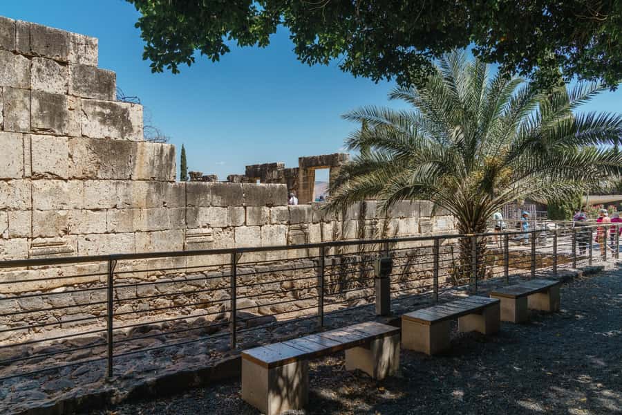 From Tel Aviv: Guided Day Trip to Nazareth & Sea of Galilee - Who should book this Nazareth and Galilee tour?