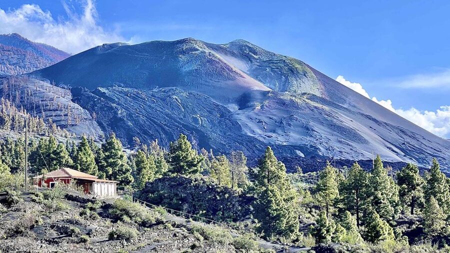 From Tenerife: Day Trip to La Palma Volcanic Landscapes - The ferry schedule shapes the whole day