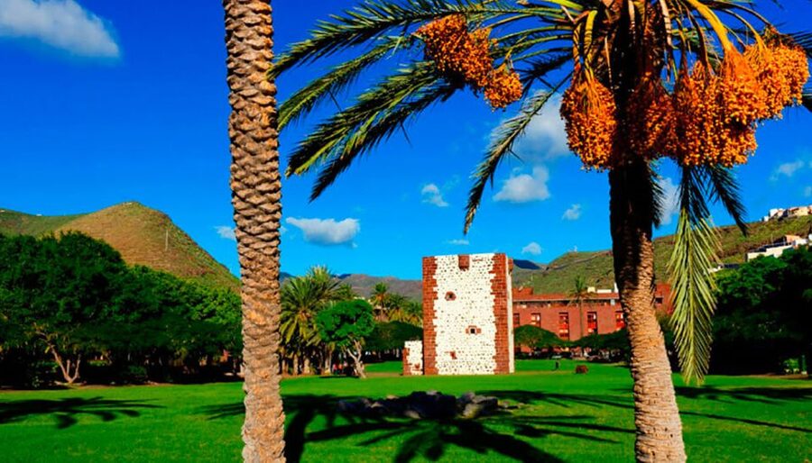From Tenerife: La Gomera Day Trip with Guide - Lunch with Silbo Gomero