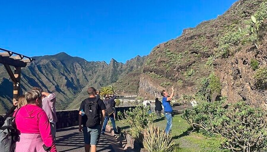 From Tenerife: La Gomera Day Trip with Guide - The bus, roads, and guide experience