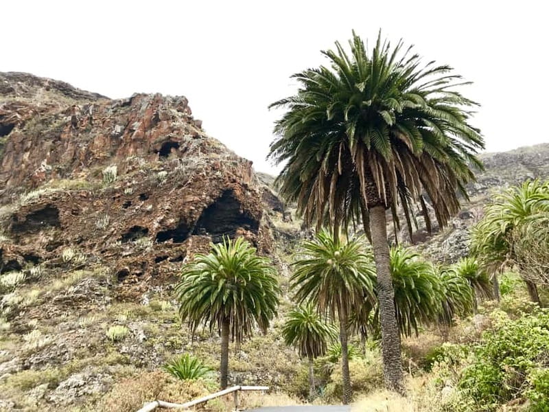 From Tenerife South: La Gomera Full-Day Trip with Transfers - Roque de Agando and the volcanic south