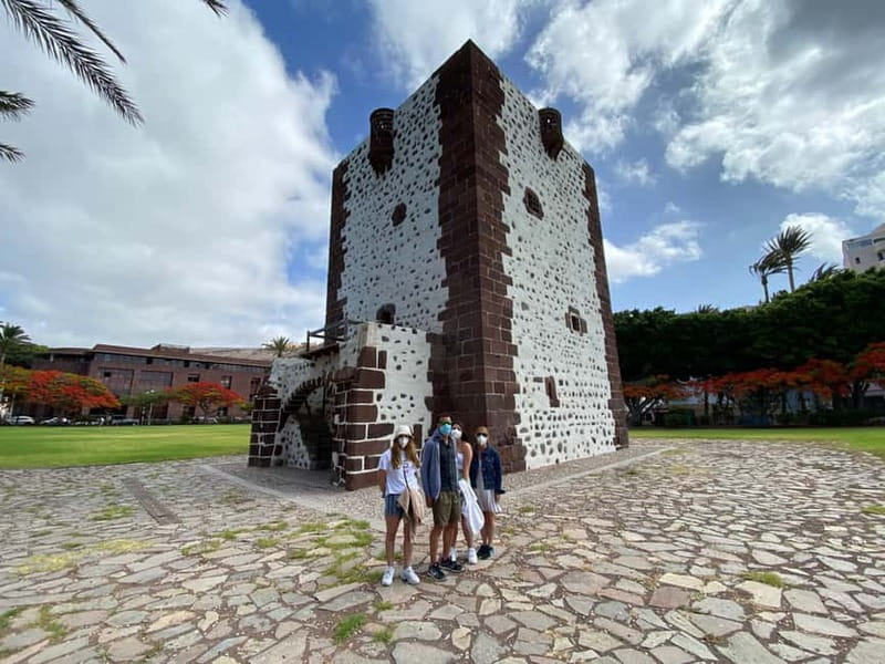 From Tenerife South: La Gomera Full-Day Trip with Transfers - Walking beneath the Laurisilva in Garajonay