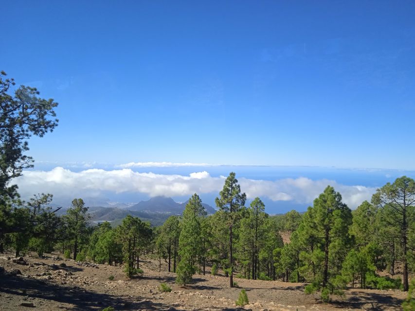 From Tenerife: Teide National Park Guided Day Trip by Bus - From Tenerife’s resorts to Teide’s volcanic world
