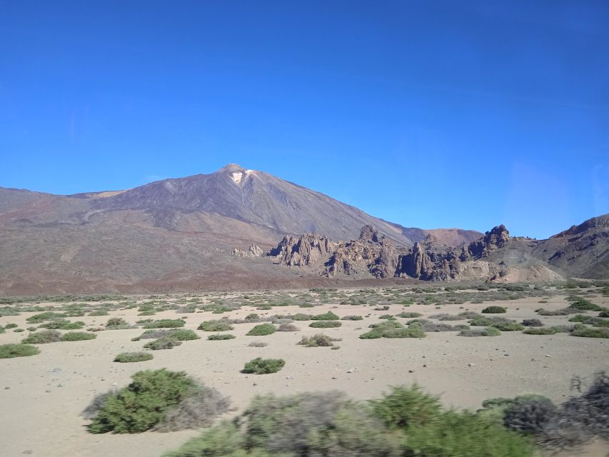 From Tenerife: Teide National Park Guided Day Trip by Bus - Pine forests, endemic plants, and wild canaries