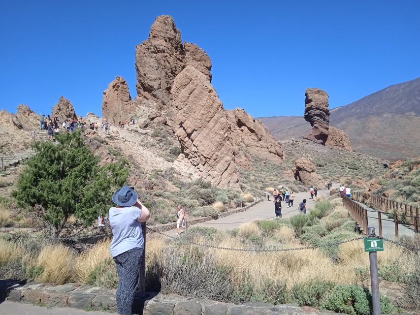 From Tenerife: Teide National Park Guided Day Trip by Bus - Is $39 good value for Teide?