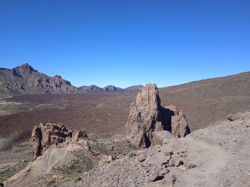 From Tenerife: Teide National Park Guided Day Trip by Bus - Who should book this half-day outing?