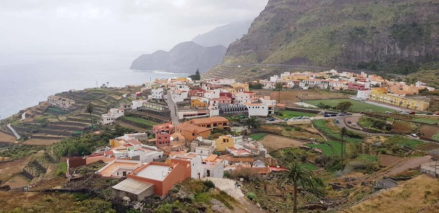 From the south of Tenerife: La Gomera full-day trip - Walking Through Garajonay’s Laurel Forest