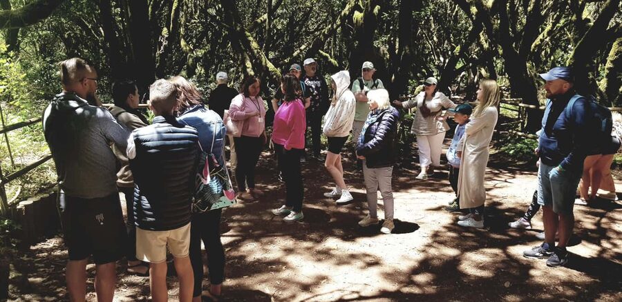 From the south of Tenerife: La Gomera full-day trip - What the $122 Price Really Buys