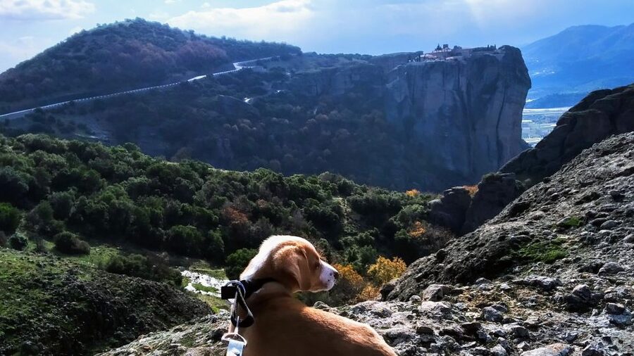 From Thessaloniki: Meteora Small Group Day Trip - Kalambaka and Kastraki set the scene