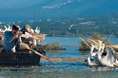 Private Day Trip to Kerkini Lake