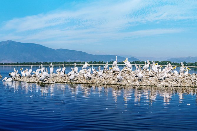 From Thessaloniki: Private Day Trip to Kerkini Lake - Coffee, open views, and a short pause