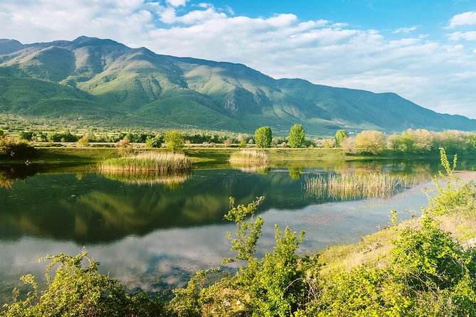 From Thessaloniki: Private Day Trip to Kerkini Lake - Meeting the buffalo near Kerkini