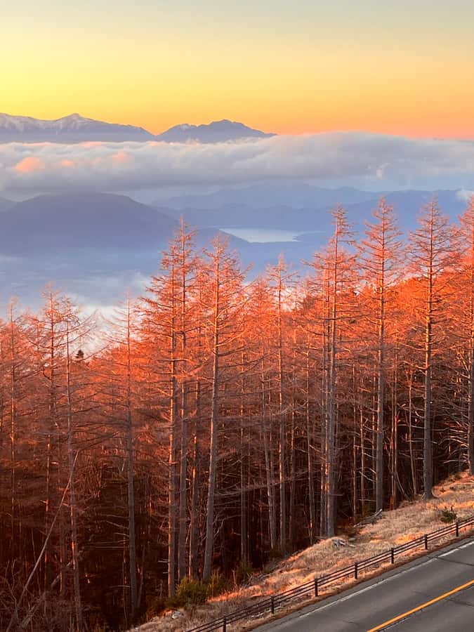 From Tokyo: Mount Fuji and Hakone Private Day Trip - Key points at a glance