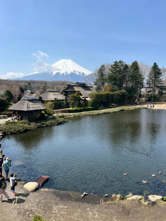 From Tokyo: Mount Fuji and Hakone Private Day Trip - What the guides add to the day