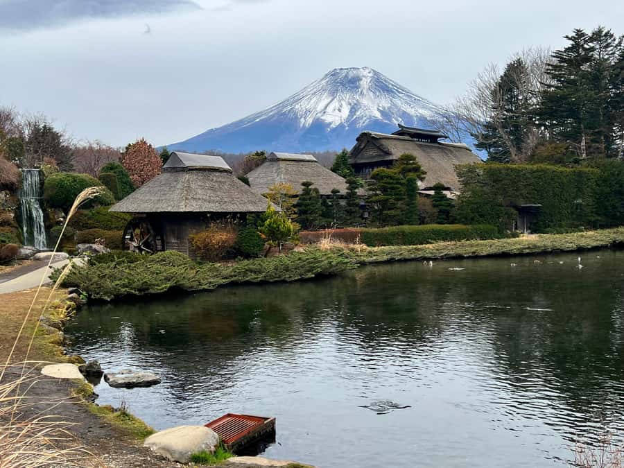 From Tokyo: Mount Fuji and Hakone Private Day Trip - Why a private Fuji and Hakone day works