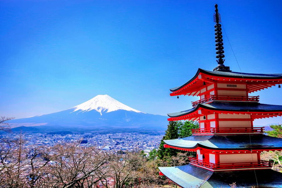 From Tokyo: Mount Fuji and Hakone Private Day Trip - Oshino Hakkai’s spring-fed ponds