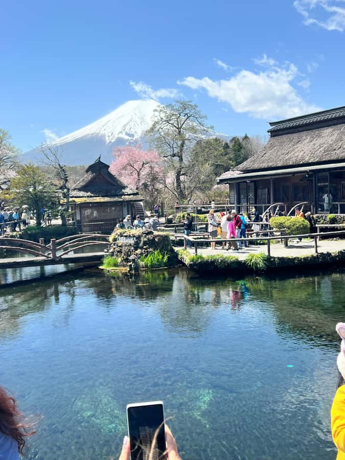 From Tokyo: Mount Fuji and Hakone Private Day Trip - Owakudani and the volcanic valley