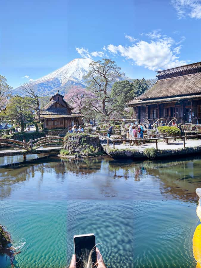 From Tokyo: Mount Fuji and Hakone Private Day Trip - Starting at Mount Fuji’s 5th Station