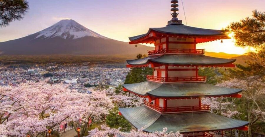 From Tokyo: Mount Fuji And Hakone Private Full Day Trip - Key points to know before booking