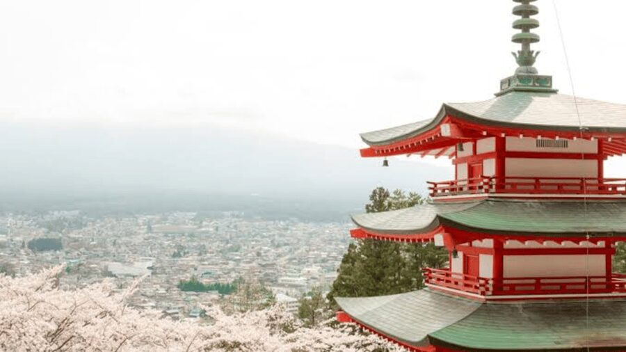 From Tokyo: Mount Fuji And Hakone Private Full Day Trip - The best part is the driver, not just the car