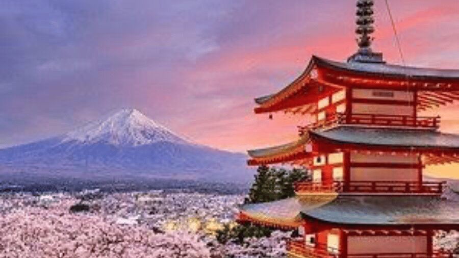 From Tokyo: Mount Fuji And Hakone Private Full Day Trip - What this private Fuji day is really like