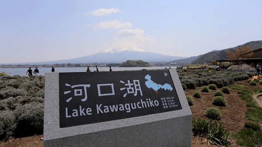 From Tokyo: Mount Fuji And Hakone Private Full Day Trip - Chureito Pagoda: the classic Fuji photograph
