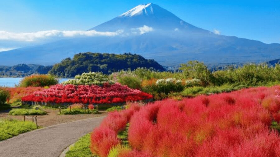 From Tokyo: Mount Fuji And Hakone Private Full Day Trip - Kitaguchi Hongu Fuji Sengen Shrine: a quiet cultural pause