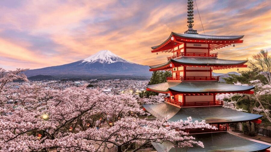 From Tokyo: Mount Fuji And Hakone Private Full Day Trip - Tokyo to Mount Fuji: why the early drive matters