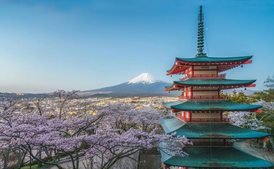From Tokyo: Mount Fuji Customizable Private Day Tour - Why a private Mount Fuji day works well from Tokyo