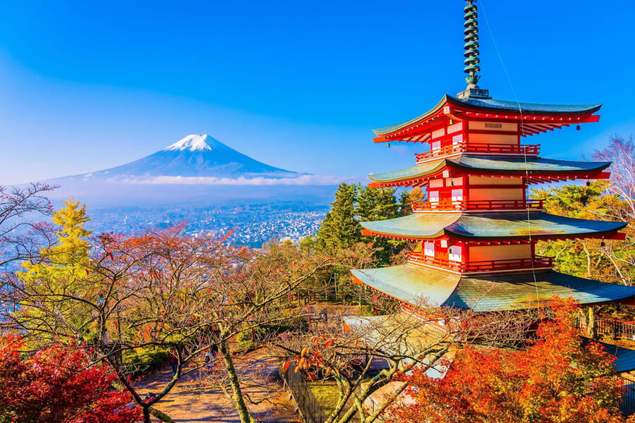 From Tokyo: Mount Fuji Customizable Private Day Tour - Mount Fuji 5th Station: close to the mountain