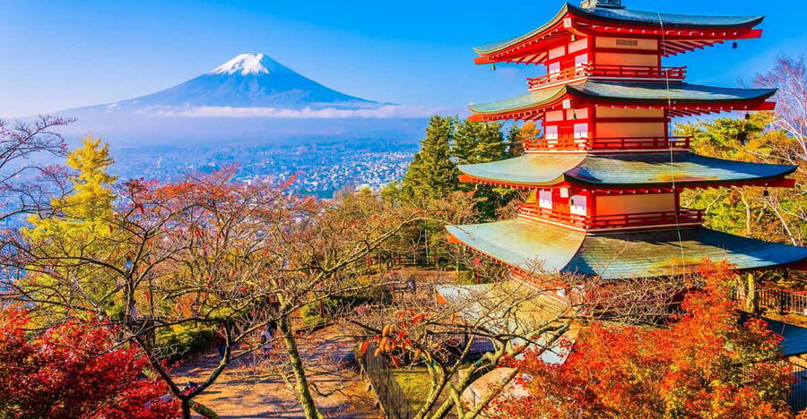 From Tokyo: Mount Fuji Customizable Private Day Tour - Chureito Pagoda and the famous Fuji view