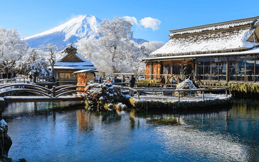 From Tokyo: Mount Fuji Customizable Private Day Tour - Optional Saiko village and changing the plan